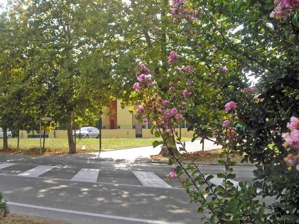 Residence Mediterraneo Lido delle Nazioni Quarto foto